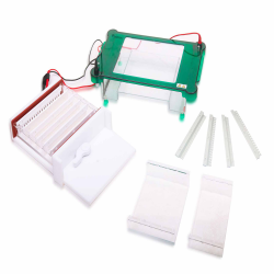 Horizontal Electrophoresis System LHES-A12