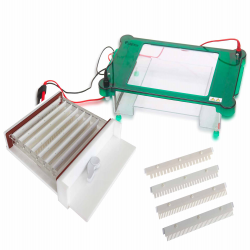 Horizontal Electrophoresis System LHES-A13