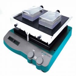 See Saw Rocking Shaker LSSR-A20